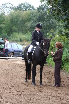 Bild 938 - WBO-Turnier am 18.9.11